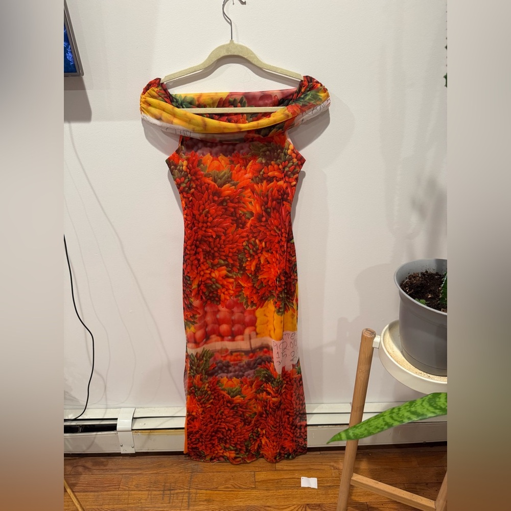 Rare -Zara -Off Shoulder - Mesh Fruit Dress